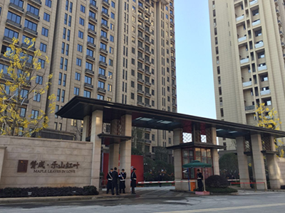 开荒保洁•乐山红叶